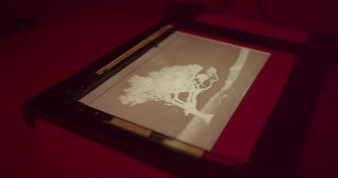 Close-up of photographic enlarger focusing and image framing during darkroom printing process. Traditional darkroom workflow in analog photography