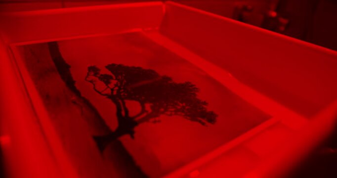 Creative analog photo printing in darkroom using classic photographic techniques and manual workflow