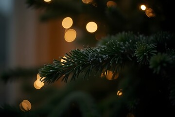 A softly focused image of a frosted evergreen branch with blurred golden bokeh lights in the background evoking winter warmth
