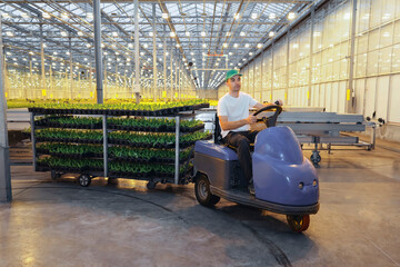 A person uses an electric cart to transport trays of plants in a greenhouse. Bright lights and rows of plants fill the space during the daytime