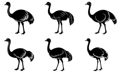 Fototapeta premium Six Black and White Emu Silhouettes on White Background bird