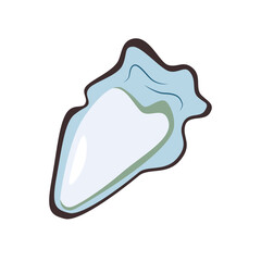 Oyster, open shellfish. Gourmet seafood, marine delicacy, clam. Ocean coastal eating. Exotic mollusk. Seashell, sea food