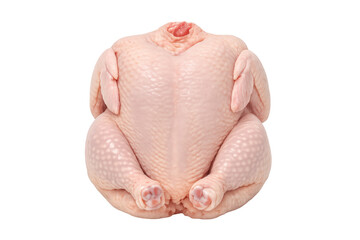Fresh whole raw chicken with skin, uncooked poultry ready for culinary preparation, isolated on transparent background