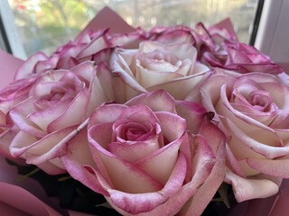 Bouquet of pink roses close-up.