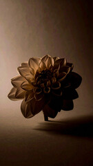  Single Flower Silhouette in soft monochrome background