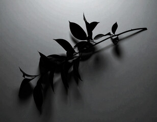 Branch Shadow on White Surface. monochrome lifestyle