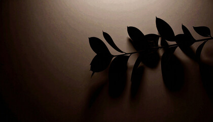 Branch Shadow on White Surface. monochrome lifestyle