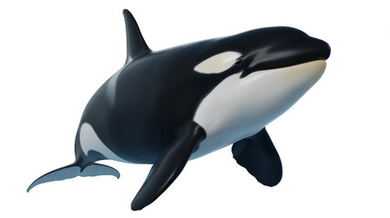 Majestic orca swimming in ocean waters