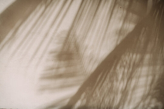 Soft palm leaf shadows cast on a sunlit stucco wall in Tulum