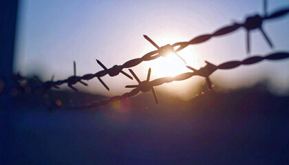 Wire Fence with Sunlight Breaking Through