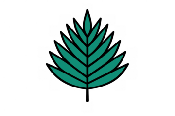 Green tropical palm leaf icon representing nature, summer, vacation, and botanical themes on a transparent background