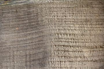 Natural background: Close-up view of old, rough wood with visible growth rings.