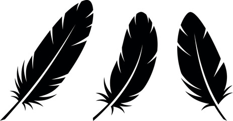 Black feathers silhouette on white background