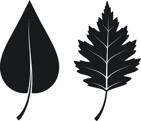 Black leaf silhouettes on white background