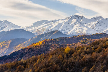 mountains are covered in snow and the trees are brown and yellow