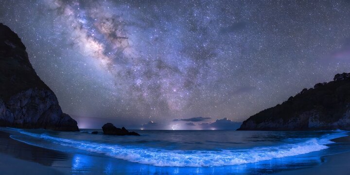 A dramatic storm breaks over the dark ocean as a shark and dolphin navigate the blue water beneath a cloudy night sky illuminated by moonlight - Powered by Adobe