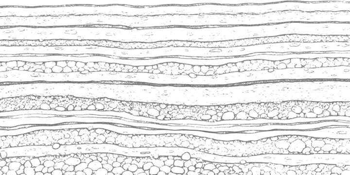 Geological cross-section illustrating alternating layers of fine and coarse sediment