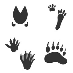 Footprints of Animal, Traces of  Beaver, Bear, Pig, Hare on white background.  Silhouette animal tracks in gray. Paw Print for your design. Vector illustration. EPS10.