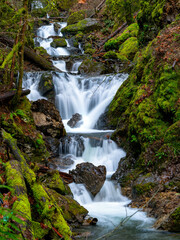 Small stream cascades over moss covered rocks