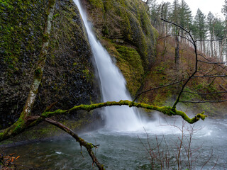 Horsetail falls in Oregon&rsquo;s Columbia River Gorge