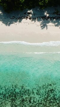 Rocky formations along the sandy beach with lush tropical forest. Seychelles, Mahe. Roche Copra.