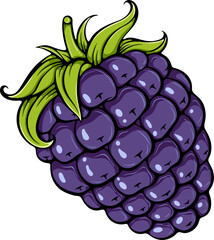 Ripe blackberry berry with stem, close-up view. Summer berries for healthy lifestyle. Organic food. Simple vector color illustration with outline in hand drawn style isolated on white