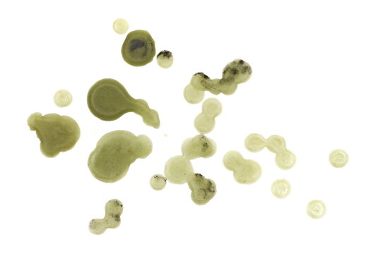 dripping paraffin candle isolated on white background, clipping path
