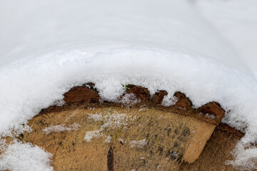 Snow layer on a stump.Snowy winter in the forest.