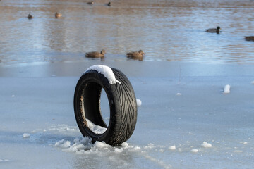An old car tire in a frozen river.Human pollution of the environment.