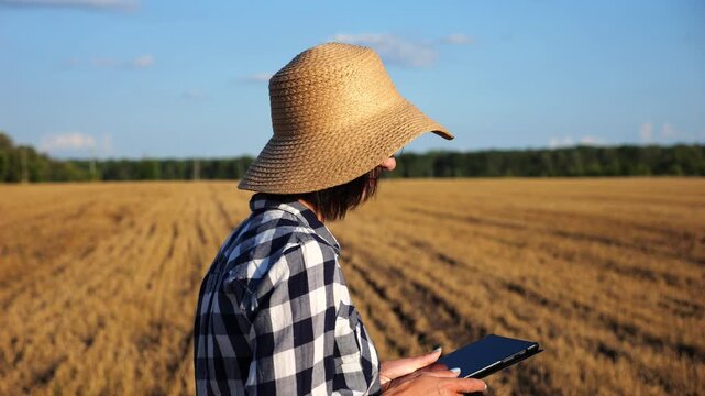 Female farmer uses digital tablet while going through wheat meadow. Adult agronomist in straw hat monitors harvest during walks among barley plantation. Concept of agriculture and agronomy business