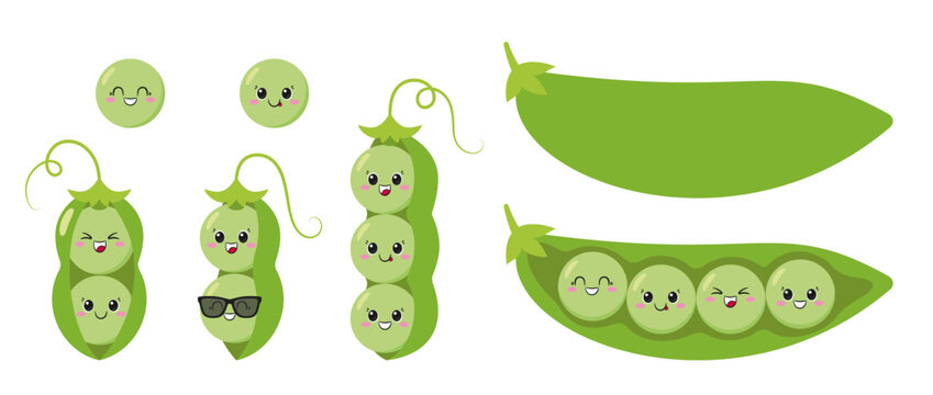 Set green peas, a green pea pod, cute and fun cartoon character, tasty and healthy vegetables, big eyes, emotions joy delight, happy smiling face, kawaii style, icon vector children's illustration.