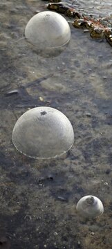 Drei gefrorene Blasen auf Eisdecke