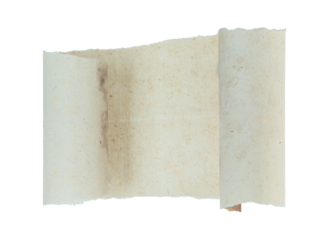 Torn ancient paper sheet with curled edges and flat center, isolated on transparent background. Vintage textured parchment with copy space for historical, classic, or editorial design