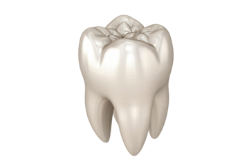 Realistic human tooth 3D illustration isolated on dark background dental care