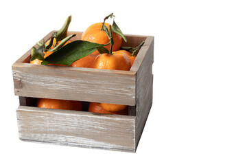 Fresh oranges in rustic wooden crate with green leaves and copy space