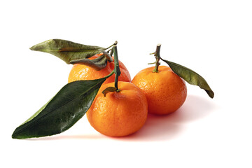 Fresh tangerines with green leaves arranged on a white background