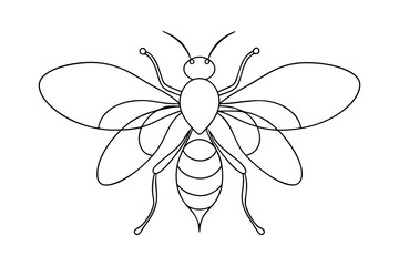 Line drawing flying bee silhouette nature insect contour art