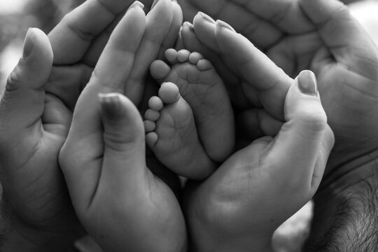 Newborn Baby Feet Cradled in Parents&rsquo; Hands, Black and White