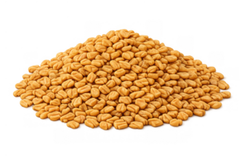 Fenugreek seeds forming a small heap, a common ingredient in culinary dishes and herbal medicine, with a transparent background