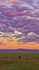 panoramic. A vibrant sunset over an open field, blending warm orange and purple hues across a panoramic sky. inspiring travel planning.
