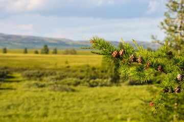 The landscape of the Yamal Peninsula.