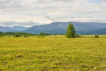 The landscape of the Yamal Peninsula.