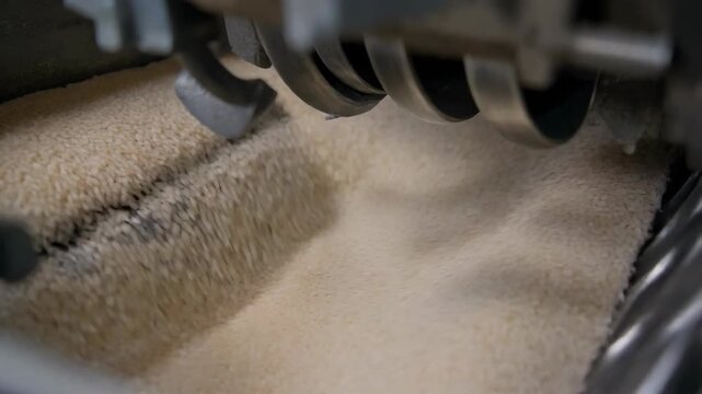 Close-up view of a machine processing a large quantity of raw, granular material, likely food.