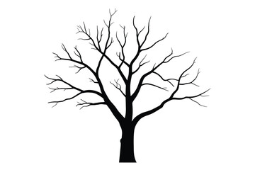 Obraz premium A bare tree silhouette against a white background in a minimalist style