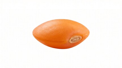 Single orange lentil bean isolated on white background close-up