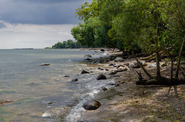 Rocky sea shore with trees and gentle waves under dramatic cloudy sky summer landscape