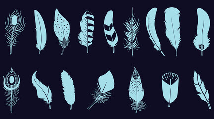 A diverse collection of stylized bird feather silhouettes in light blue on a dark background © MOHAMMADSHARIFUL