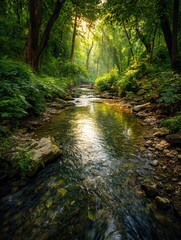 Obraz premium a tranquil stream meanders through a lush green forest capturing the warm glow of the sun and the blue sky above