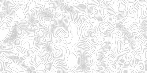 Abstract topography pattern seamless lines sea map modern design white background. Abstract digital topographic contour map concept space geometric strip grid line. Natural discovery of maps.
