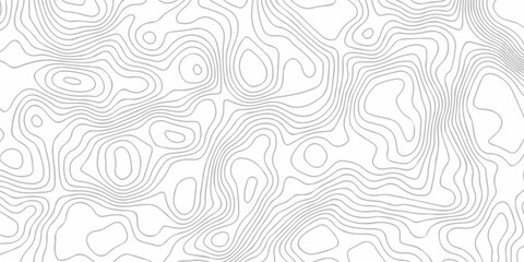 Abstract topography pattern seamless lines sea map modern design white background. Abstract digital topographic contour map concept space geometric strip grid line. Natural discovery of maps. © coal digger